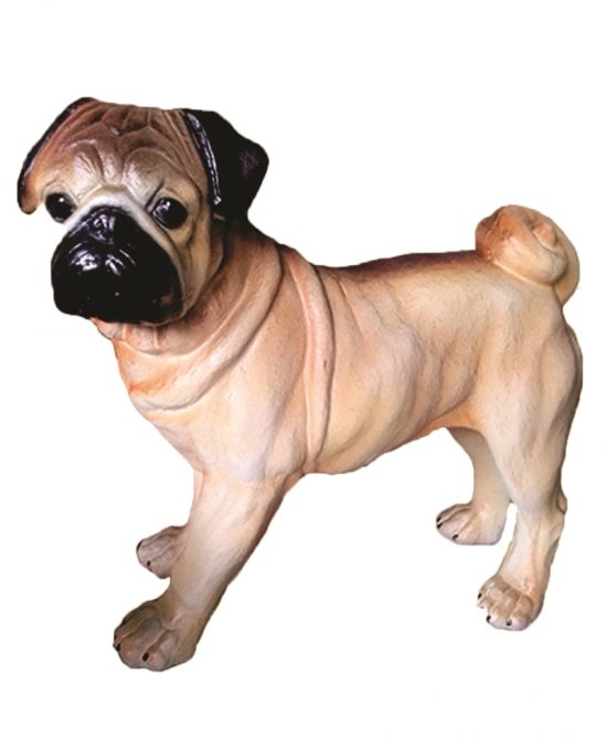 Cachorro Pug