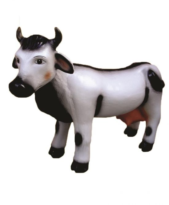 vaca