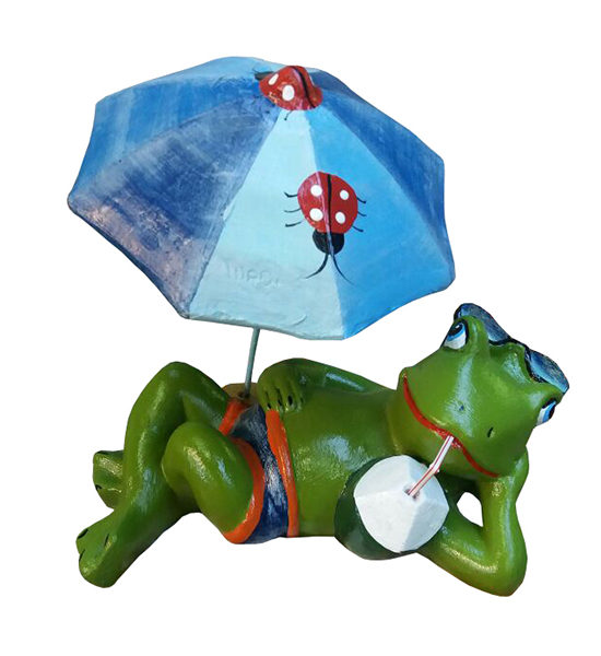 Sapo na Praia